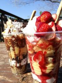 イチゴが入ったパフェとチョコレートがかかった2種類のパフェの写真