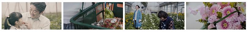 左から、男性が女の子にイチゴを食べさせている写真、緑色の籠にイチゴや野菜が入っている写真、黄色や白色の花が咲いているビニールハウス内で2名の女性が立っている写真、ピンク色のガーベラの花の写真
