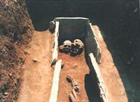 岩坪石棺出土の弥生人骨の写真