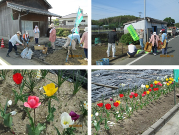 左上：花壇をつくる準備をしている人達の写真、右上：道路横にのぼりを立て花壇を造っている写真、左下：赤、黄色、ピンク、白、のチューリップを上から写した写真、右下：赤、黄色、白のチューリップが並んで咲いている花壇の写真