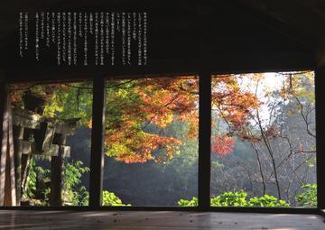 大きな窓から紅葉が見えるきれいなフォトブックの写真