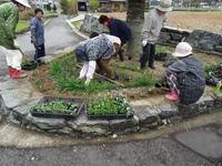 花壇に苗を植えている人達の写真